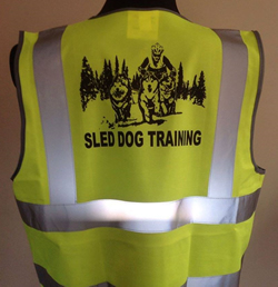 Husky Rig Vi Viz Vest